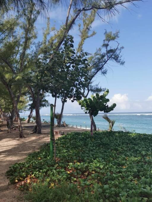 サンジルレバンBeau T3 Litchi Vue Ocean Piscineアパートメント エクステリア 写真
